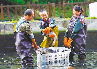 绿满梵净山 灵气深处的冷水鱼故事
