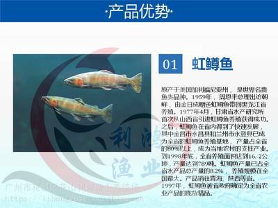 水中瑰宝 探秘名贵冷水鱼的养殖与价值