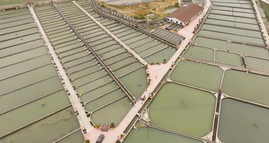 蒋开均冷水鱼养出重庆山区热经济